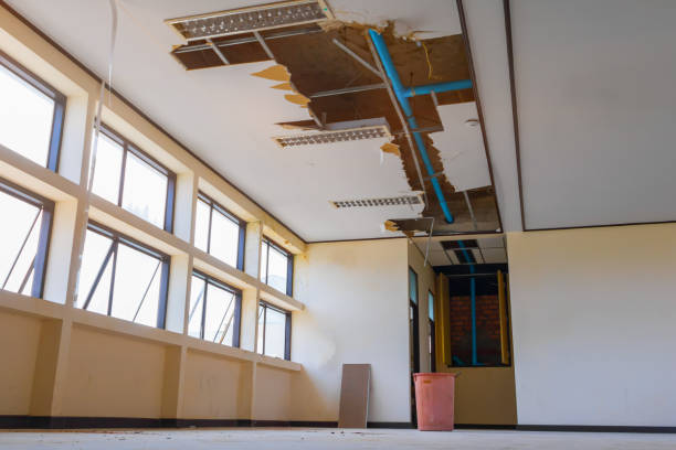 Best Commercial water damage restoration  in Niles, OH