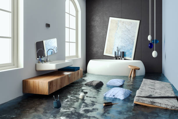 Best Mold removal after water damage  in Niles, OH