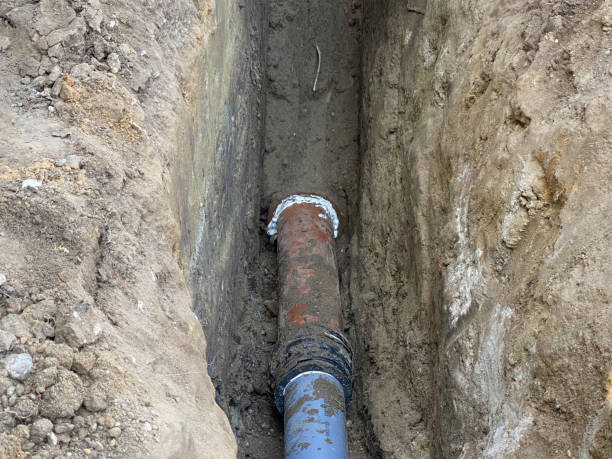 Best 24/7 water damage repair  in Niles, OH