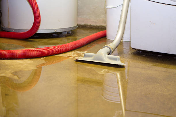 Best Sewage cleanup and water damage restoration  in Niles, OH