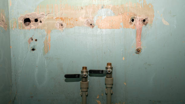Best Water damage contractors near me  in Niles, OH