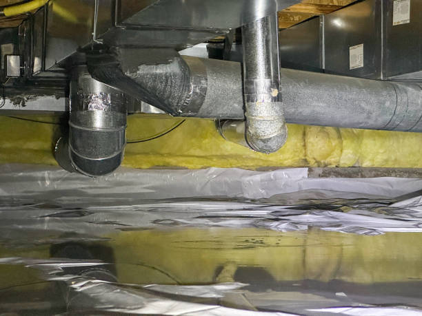Best Sewage cleanup and water damage restoration  in Niles, OH