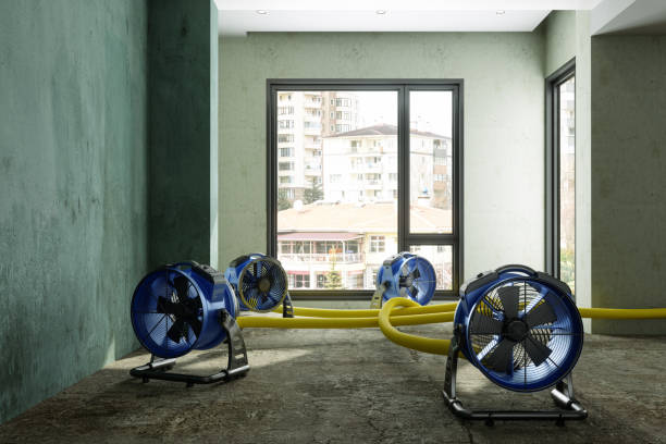 Best Water damage restoration near me  in Niles, OH